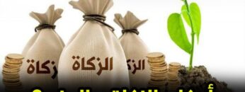 photo_٢٠٢٣-٠٤-٠٨_١٦-٤٦-٣٦