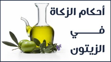 درهم ودينار-03_New9