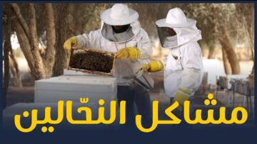 photo_٢٠٢٢-٠٧-٢٤_٢٢-١٢-٣٣