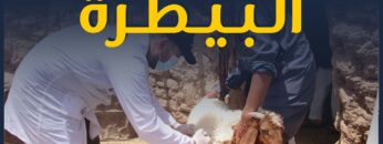 photo_٢٠٢٢-٠٧-٢٥_٢٢-٠٧-٣٦