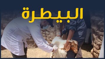 photo_٢٠٢٢-٠٧-٢٥_٢٢-٠٧-٣٦