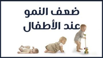 photo_٢٠٢٢-٠٨-٢٧_١٧-١٠-٥٧