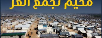 photo_٢٠٢٢-٠٩-٠٣_١٩-٤٨-١٦