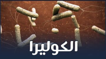 photo_٢٠٢٢-٠٩-٢٠_٢٠-٣٧-٤٤