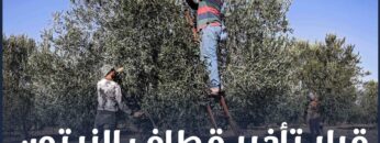 photo_٢٠٢٢-١١-١٧_٢١-١٧-٥٠