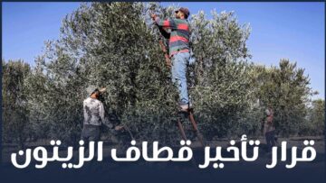 photo_٢٠٢٢-١١-١٧_٢١-١٧-٥٠