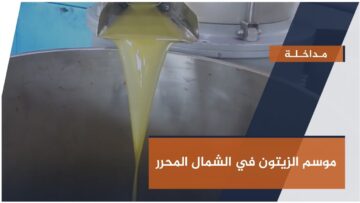 صورة اامداخلة