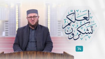 لعلكم ذروة سنام الإسلام