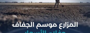 وصل الزراعة