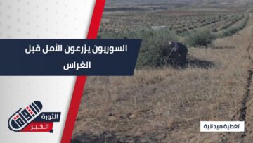 رغم خراب أراضيهم..السوريون يعودون لإحيائها من جديد