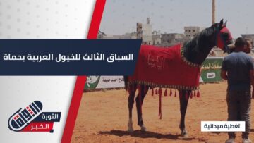 مضمار حماة يحتضن السباق الدوري الثالث للخيول العربية