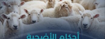 إلى من يريد أن يضحي تعرف على سنن الأضحية وآدابها