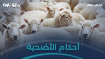 إلى من يريد أن يضحي تعرف على سنن الأضحية وآدابها