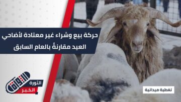 مع اقتراب عيد الأضحى، إقبال على شراء الأضاحي في أسواق #حمص وسط انخفاض في الأسعار 