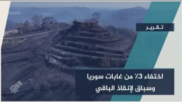 photo_٢٠٢٥-٠٧-١٣_١٣-١٤-٣٥