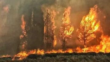 غابات تحترق ودول تتدخل… هل يبدأ عصر جديد للاستجابة السريعة في #سوريا؟