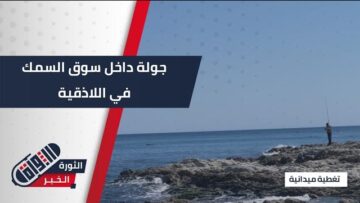 من قلب #اللاذقية… تنوّع مذهل في سوق السمك يُنعش صباح المدينة