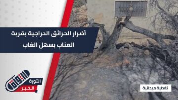 تغطية حصرية للأضرار في قرية #عناب نتيجة الحرائق الحراجية