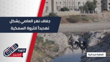 تهديد واضح لحياة الثروة السمكية بعد جفاف نهر العاصي