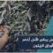 الزيتون في ريف إدلب… رمز الصمود وعودة الأهالي إلى أرضهم