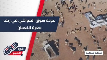 تسهيلاً للحركة التجارية… سوق المواشي من جديد بعد عودة أهالي منطقة #معرة_النعمان