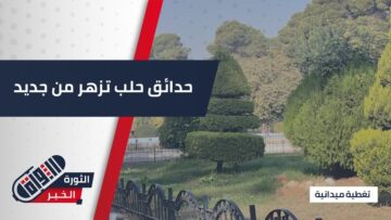 #حلب تتزيّن من جديد… حملة موسّعة لتأهيل الحدائق والمساحات الخضراء