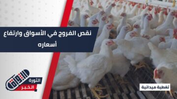 الفروج طعام الفقير… أهالي حلب يشتكون نقص المادة وغلاء الأسعار ويطالبون بتدخل حكومي لضبطها