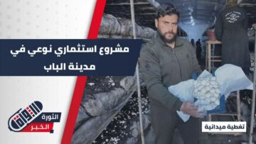 مشروع نوعي لإنتاج الفطر في الباب شرق حلب… خطوة لدعم السوق وتعزيز الأمن الغذائي