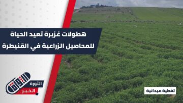 بعد مواسم من الجفاف… الأمطار تعيد الحياة للأراضي الزراعية في القنيطرة